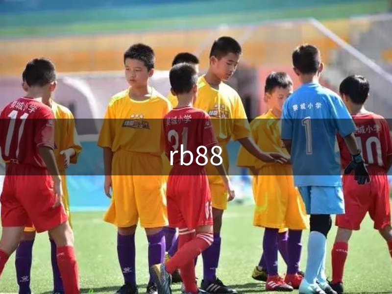 RB88·(中国区)官方网站