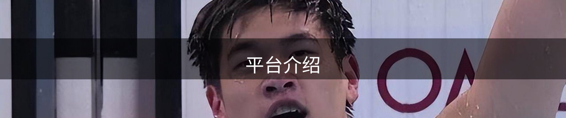 平台介绍
