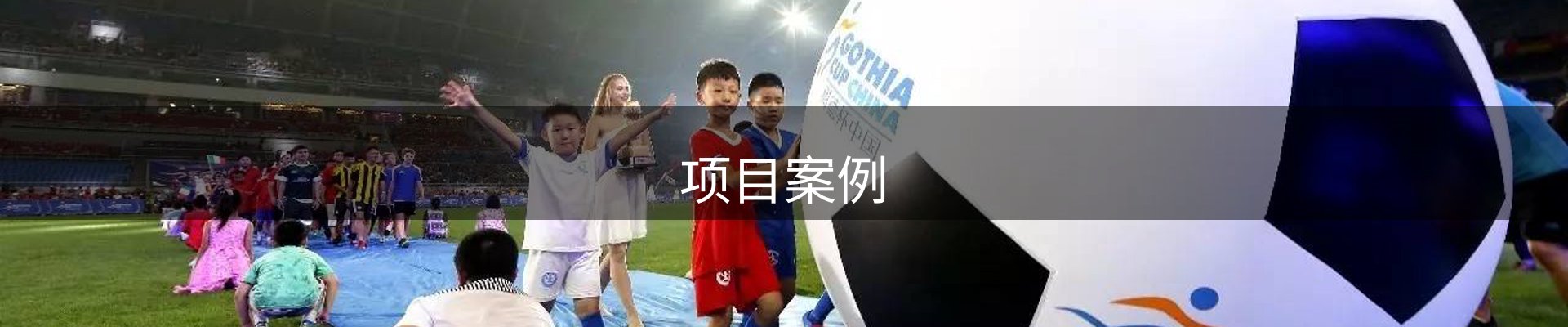 项目案例